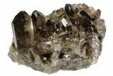 Dark Smoky Quartz Crystal Cluster - Brazil #106964-1